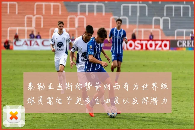 泰勒亚当斯称赞普利西奇为世界级球员需给予更多自由度以发挥潜力