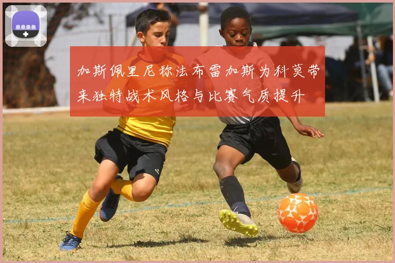 加斯佩里尼称法布雷加斯为科莫带来独特战术风格与比赛气质提升