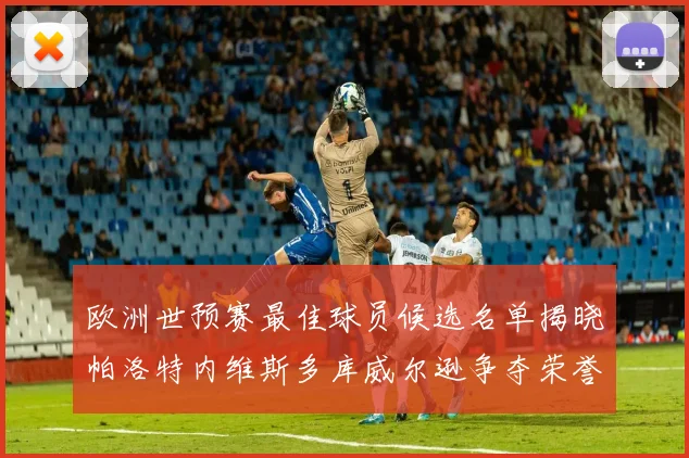 欧洲世预赛最佳球员候选名单揭晓帕洛特内维斯多库威尔逊争夺荣誉