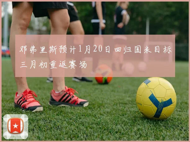 邓弗里斯预计1月20日回归国米目标三月初重返赛场