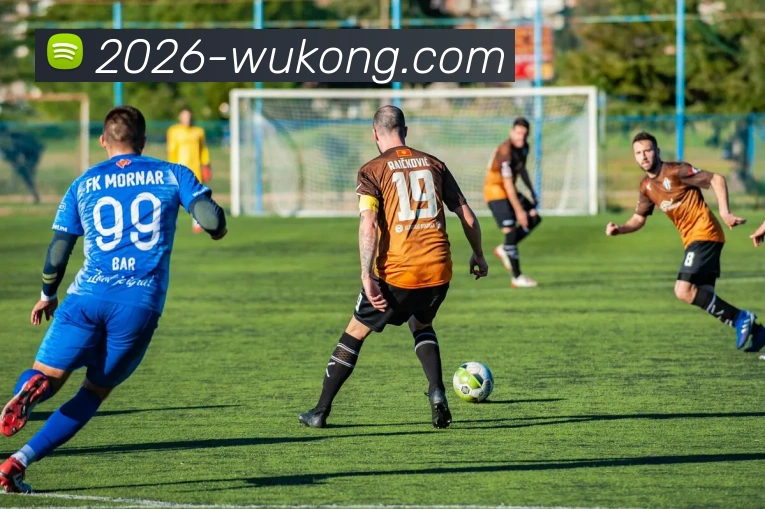 悟空体育APP 封面图